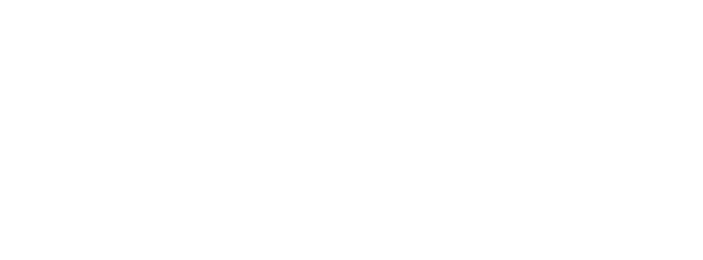 Team Celular